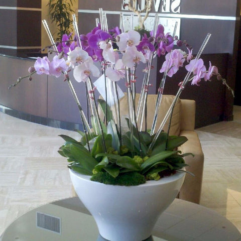 100 pc Crystal Dowel Orchid Sticks 18